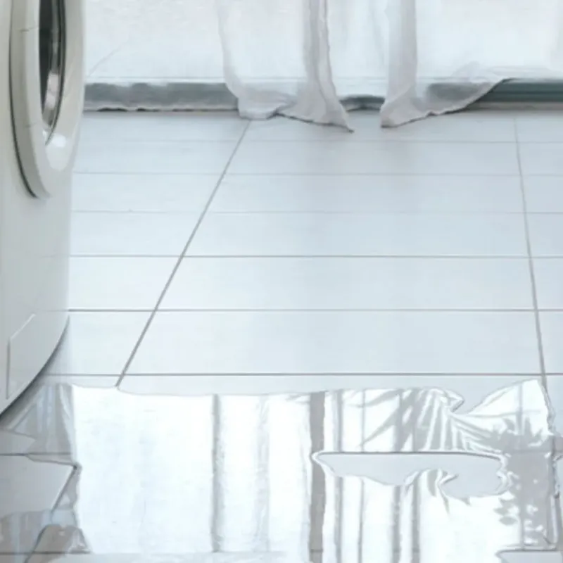 Appliance Leak Cleanup in Saint Simons Island, GA